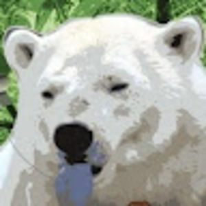 Meet your Posher, Samuel